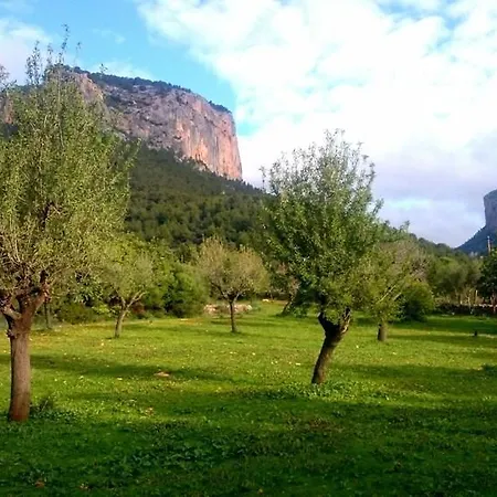 Orengar Hotel 4*